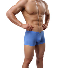 Sexy Man Underwear Boxer Briefs Underpants AG L