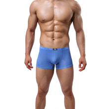 Sexy Man Underwear Boxer Briefs Underpants AG L