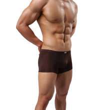 Sexy Man Underwear Boxer Briefs Underpants AG L