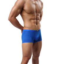 Sexy Man Underwear Boxer Briefs Underpants AG L